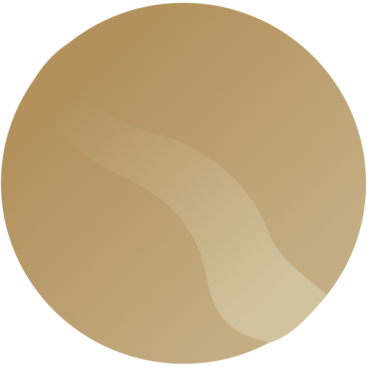 Parana Flow Productions Logo